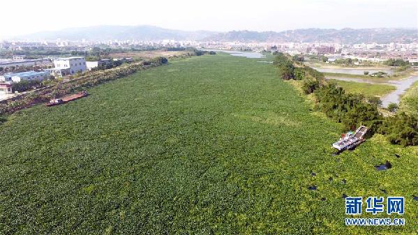 （圖文互動(dòng)）（1）&ldquo;白練&rdquo;變&ldquo;黑龍&rdquo;，江河變&ldquo;草原&rdquo;－－粵東母親河為何污染20多年難治理？