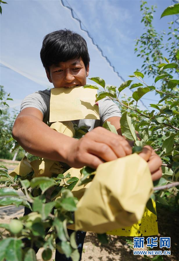 （壯闊東方潮 奮進(jìn)新時代&mdash;&mdash;慶祝改革開放40年）（10）退耕還林20年 延安大地譜新篇