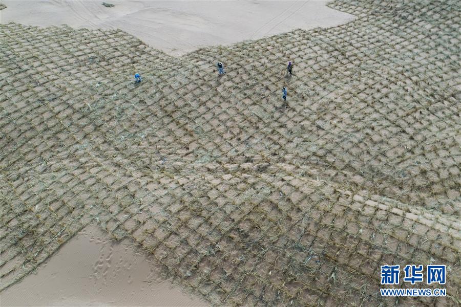 (新華全媒頭條·圖文互動)(8)荒漠化治理的“中國智慧”