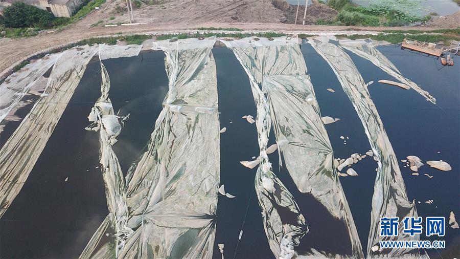 （新華視點(diǎn)&middot;圖文互動(dòng)）（4）中央督察兩年有的絲毫未改，有的不減反增&mdash;&mdash;江蘇泰興數(shù)萬噸化工廢料和污泥堆放長江邊調(diào)查