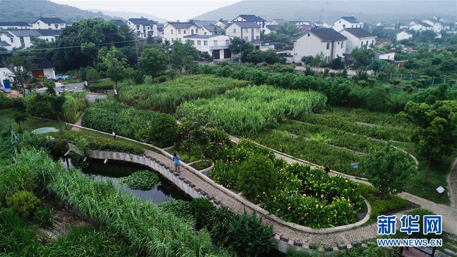 （在習(xí)近平新時代中國特色社會主義思想指引下&mdash;&mdash;新時代新作為新篇章&middot;圖文互動）（1）稀奇！治污濕地成了休閑公園&mdash;&mdash;江蘇蘇州全域推進(jìn)農(nóng)村生活污水治理