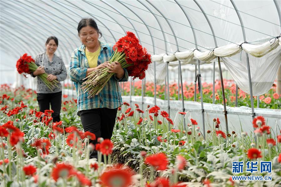 （大江奔流&mdash;&mdash;來(lái)自長(zhǎng)江經(jīng)濟(jì)帶的報(bào)道&middot;新華全媒頭條&middot;圖文互動(dòng)）（3）擘畫新時(shí)代中國(guó)發(fā)展新坐標(biāo)&mdash;&mdash;深入推動(dòng)長(zhǎng)江經(jīng)濟(jì)帶發(fā)展述評(píng)  