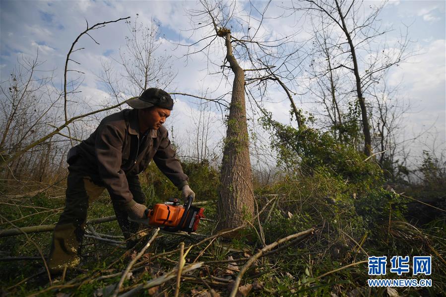 （大江奔流&mdash;&mdash;來自長江經(jīng)濟(jì)帶的報(bào)道&middot;新華全媒頭條&middot;圖文互動(dòng)）（6）打造經(jīng)濟(jì)高質(zhì)量發(fā)展的強(qiáng)勁引擎&mdash;&mdash;深入推動(dòng)長江經(jīng)濟(jì)帶發(fā)展述評(píng)