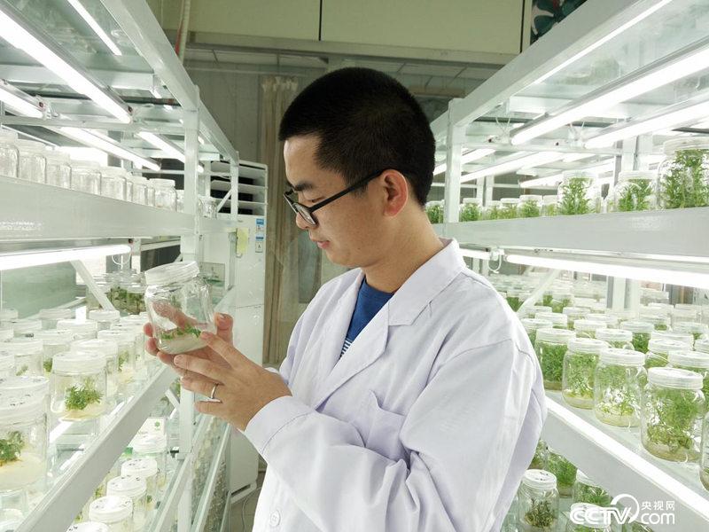 &ldquo;90后&rdquo;治沙人李相儒