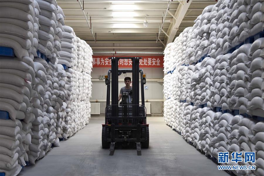 （新華全媒頭條&middot;圖文互動）（6）去新疆！穿越古今絲綢之路