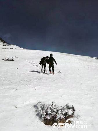 下雪天巡護(hù)也是常有的事。