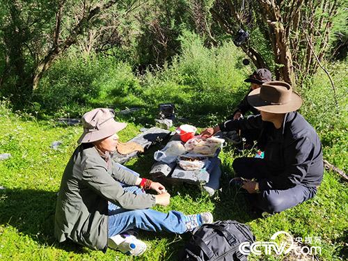 長(zhǎng)途跋涉途中休息。