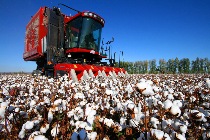 秋收的中國，你想象不到的美！但更美的是&hellip;&hellip;