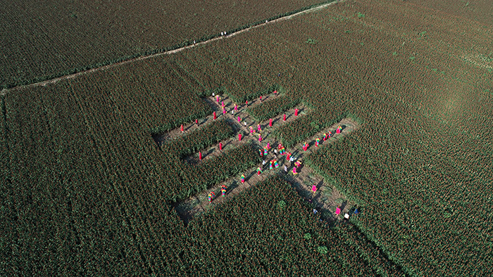 秋收的中國，你想象不到的美！但更美的是&hellip;&hellip;