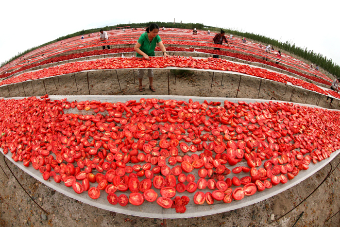 秋收的中國，你想象不到的美！但更美的是&hellip;&hellip;