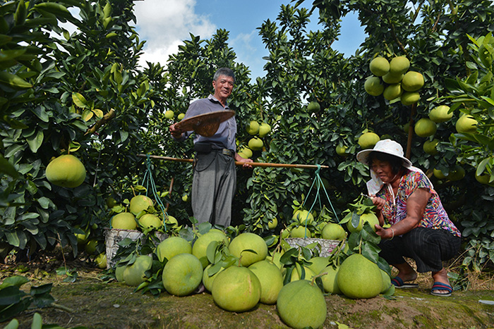 秋收的中國，你想象不到的美！但更美的是&hellip;&hellip;