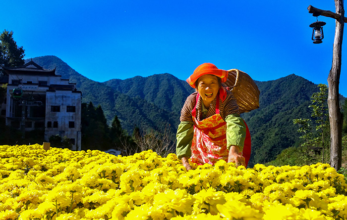 秋收的中國，你想象不到的美！但更美的是&hellip;&hellip;