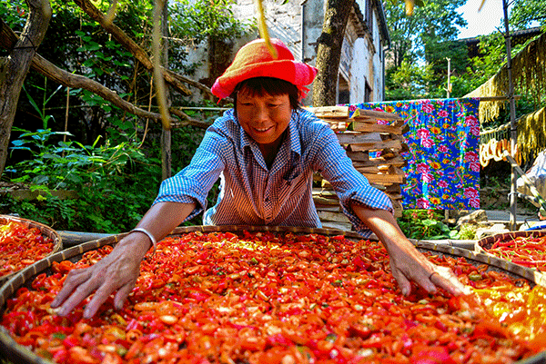 秋收的中國，你想象不到的美！但更美的是&hellip;&hellip;