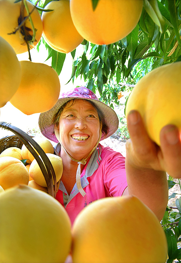秋收的中國，你想象不到的美！但更美的是&hellip;&hellip;