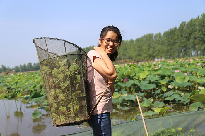 秋收的中國，你想象不到的美！但更美的是&hellip;&hellip;