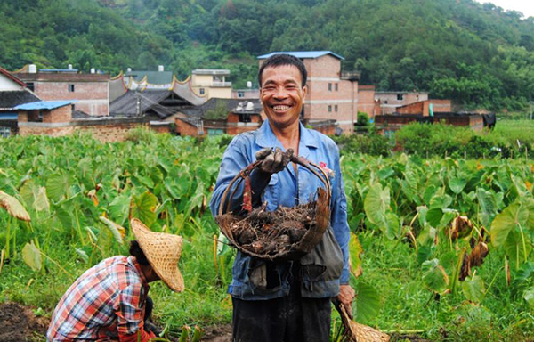 秋收的中國，你想象不到的美！但更美的是&hellip;&hellip;