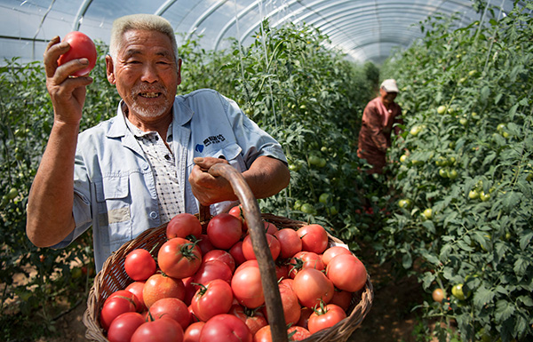 秋收的中國，你想象不到的美！但更美的是&hellip;&hellip;