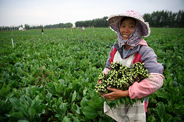 秋收的中國，你想象不到的美！但更美的是&hellip;&hellip;
