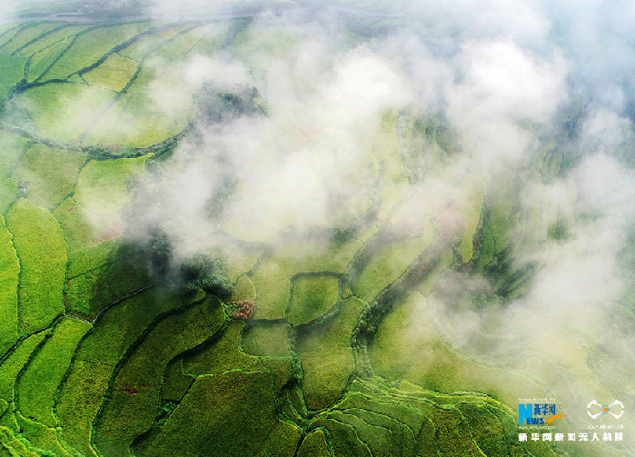 秋收的中國，你想象不到的美！但更美的是&hellip;&hellip;