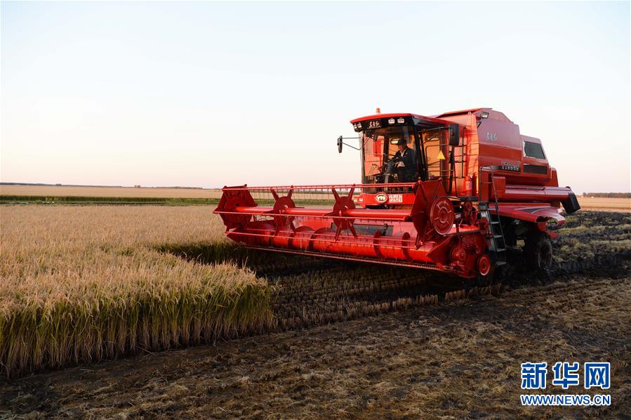 （新華全媒頭條&middot;圖文互動(dòng)）（1）情系黑土地&mdash;&mdash;習(xí)近平總書(shū)記考察東北三省回訪記