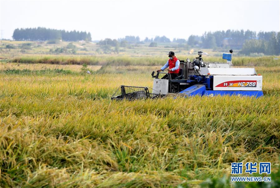 （新華全媒頭條&middot;壯闊東方潮　奮進新時代&mdash;&mdash;慶祝改革開放40年&middot;圖文互動）（9）小崗，與時代同行&mdash;&mdash;&ldquo;中國農村改革第一村&rdquo;40年變遷的改革啟示