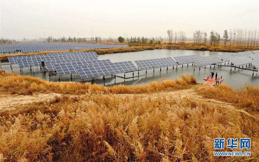 #(社會)河北南皮:“漁光互補(bǔ)”光伏電站鋪就綠色扶貧路