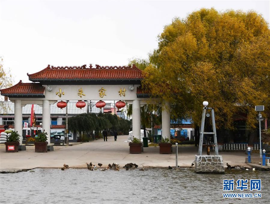 （百城百縣百企調(diào)研行&middot;圖文互動）（4）瞧瞧這些村咋富起來的&mdash;&mdash;黑龍江省牡丹江市發(fā)展特色精品農(nóng)業(yè)促農(nóng)增收