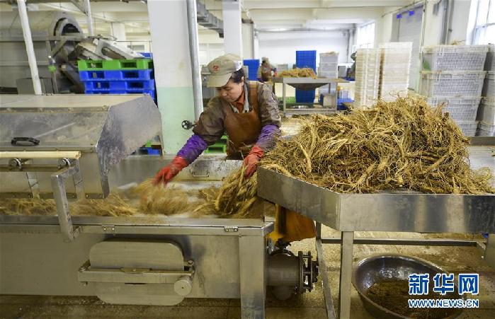 （百城百縣百企調(diào)研行&middot;圖文互動(dòng)）（5）吉林集安：邊陲&ldquo;綠色明珠&rdquo;為何如此閃亮？