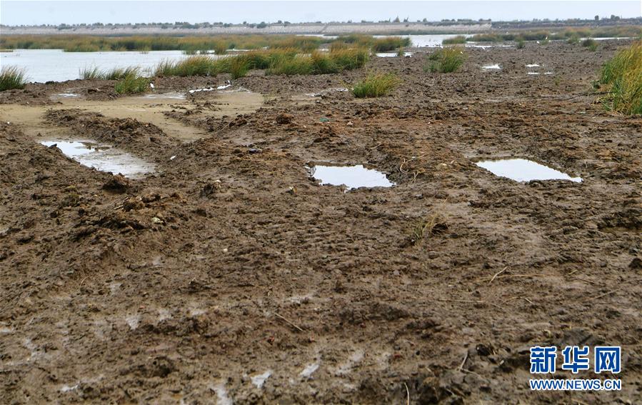 （新華視點&middot;圖文互動）（2）福建10名黨員干部被問責的背后：7部門十余次執(zhí)法未能有效制止泉州灣濕地圍墾行為
