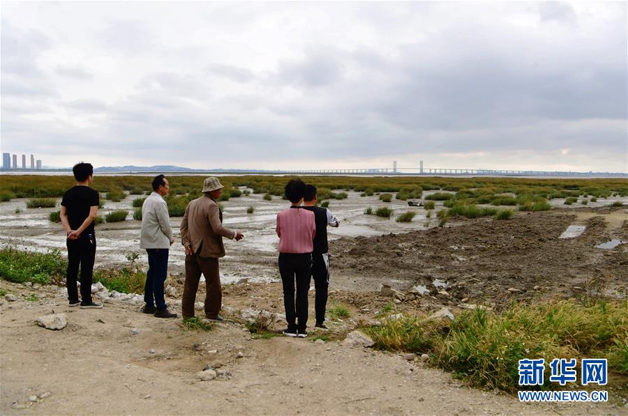 （新華視點&middot;圖文互動）（5）福建10名黨員干部被問責的背后：7部門十余次執(zhí)法未能有效制止泉州灣濕地圍墾行為