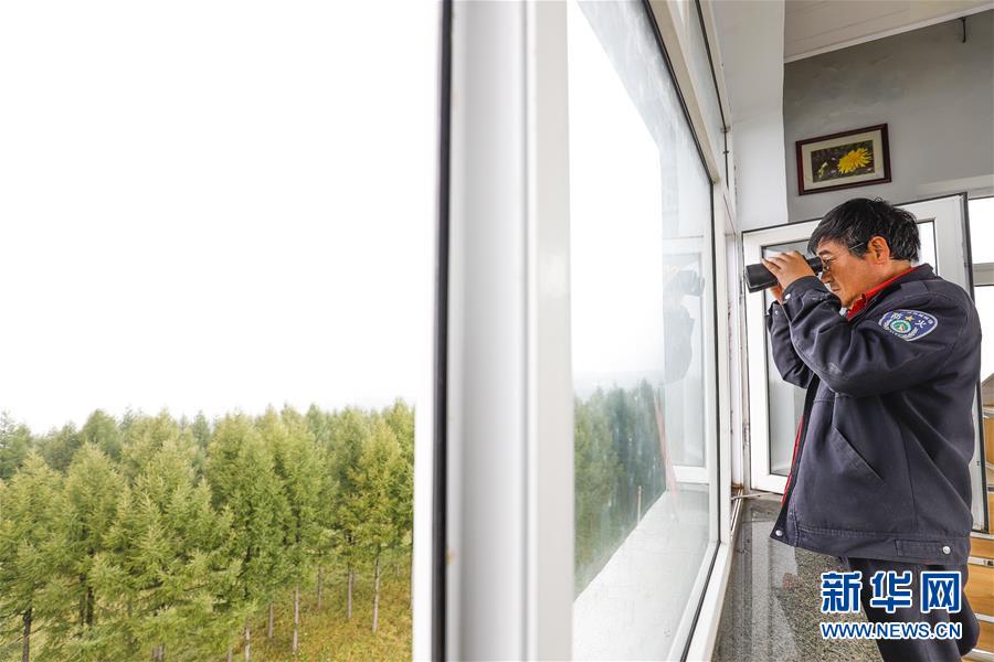 （新華全媒頭條&middot;圖文互動(dòng)）（3）那一抹綠色，走進(jìn)越來越多人心里&mdash;&mdash;河北塞罕壩續(xù)寫新時(shí)代綠色傳奇