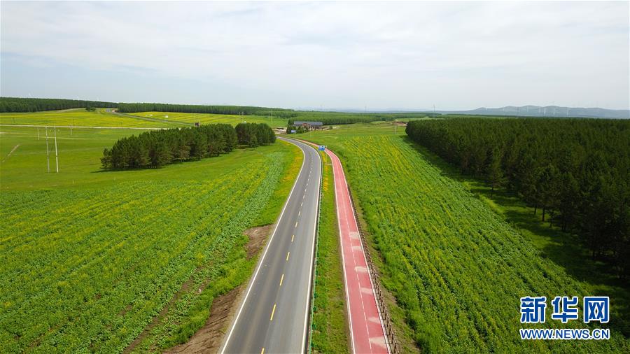 （新華全媒頭條&middot;圖文互動(dòng)）（4）那一抹綠色，走進(jìn)越來越多人心里&mdash;&mdash;河北塞罕壩續(xù)寫新時(shí)代綠色傳奇