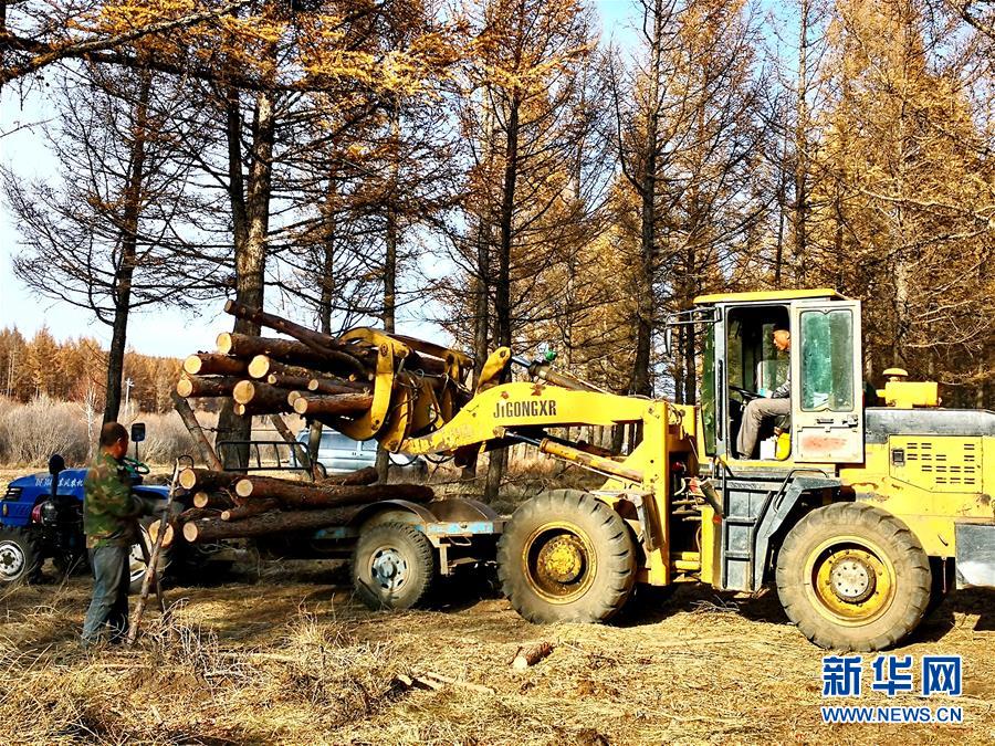 （新華全媒頭條&middot;圖文互動(dòng)）（7）那一抹綠色，走進(jìn)越來越多人心里&mdash;&mdash;河北塞罕壩續(xù)寫新時(shí)代綠色傳奇