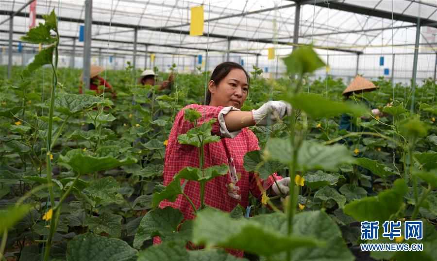 （新華全媒頭條&middot;圖文互動(dòng)）（11）心中有夢想，腳下就有力量&mdash;&mdash;寫在&ldquo;中國夢&rdquo;提出六周年之際