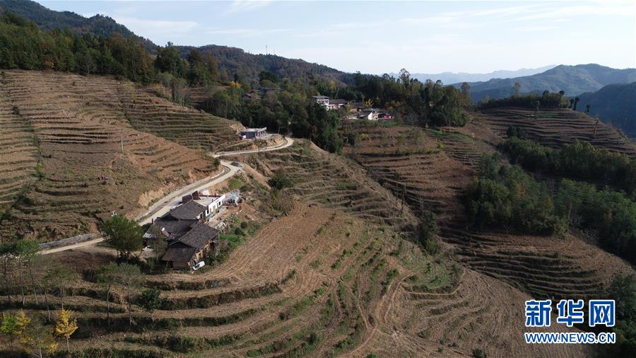 （在習(xí)近平新時(shí)代中國(guó)特色社會(huì)主義思想指引下&middot;慶祝改革開(kāi)放40周年&middot;共享發(fā)展&middot;圖文互動(dòng)）（3）&ldquo;浙江親人&rdquo;請(qǐng)心安 白茶苗已種滿(mǎn)山&mdash;&mdash;浙江安吉捐贈(zèng)四川青川白茶苗種植地探訪