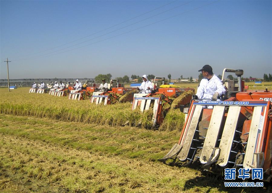 （慶祝改革開(kāi)放40周年基層行&middot;鄉(xiāng)鎮(zhèn)篇&middot;圖文互動(dòng)）（6）三產(chǎn)融合培育鄉(xiāng)村振興熱土&mdash;&mdash;吉林孤店子鎮(zhèn)&ldquo;村變城&rdquo;背后的故事