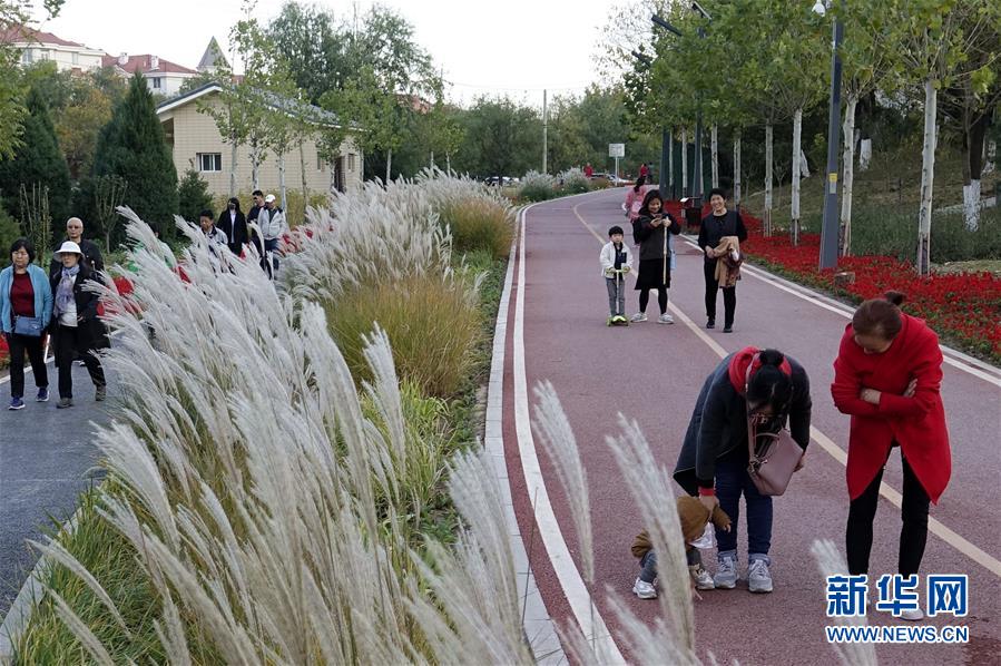 （新華全媒頭條&middot;圖文互動(dòng)）（5）復(fù)蘇的河流&mdash;&mdash;北京涼水河再調(diào)查