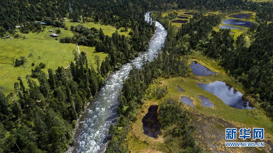 （百城百縣百企調(diào)研行&middot;圖文互動）（1）西藏米林縣的綠色富裕路
