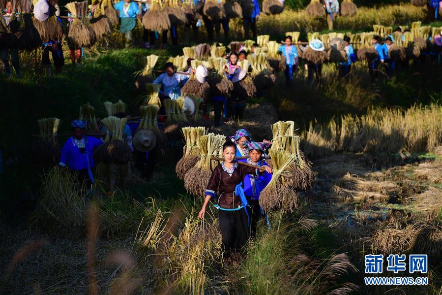 （輝煌60年&middot;壯美新廣西&middot;圖文互動(dòng)）（6）攜手描繪八桂大地上的美麗畫(huà)卷&mdash;&mdash;寫(xiě)在廣西壯族自治區(qū)成立60周年之際