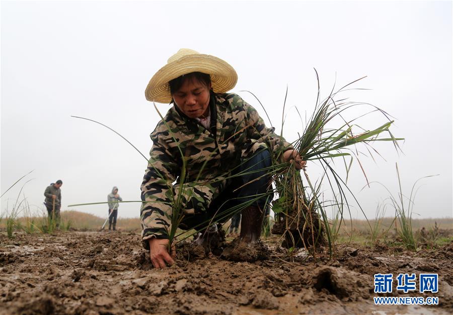 （新華視點(diǎn)&middot;回望2018&middot;圖文互動(dòng)）（3）2018年新華社曝光多起破壞生態(tài)事件，記者年底追訪發(fā)現(xiàn)&hellip;&hellip;