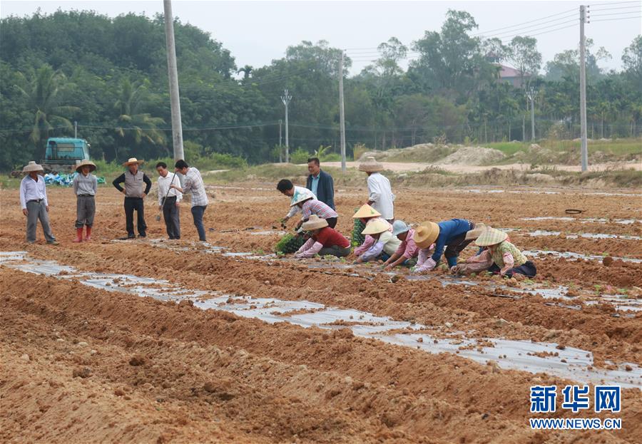 （新華視點(diǎn)&middot;回望2018&middot;圖文互動(dòng)）（7）2018年新華社曝光多起破壞生態(tài)事件，記者年底追訪發(fā)現(xiàn)&hellip;&hellip;