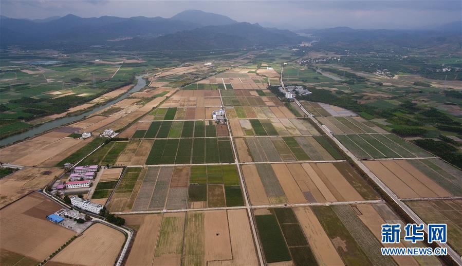 （百城百縣百企調研行&middot;圖文互動）（1）海南農墾：農業(yè)&ldquo;國家隊&rdquo;打贏改革&ldquo;翻身仗&rdquo;