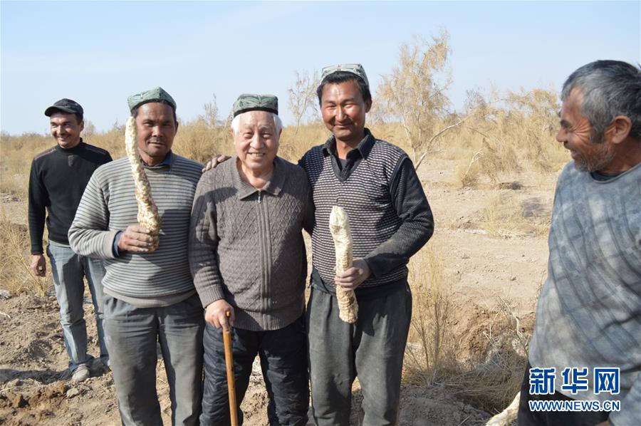 （圖文互動）（3）&ldquo;劉紅柳&rdquo;，一輩子大漠扎根種樹