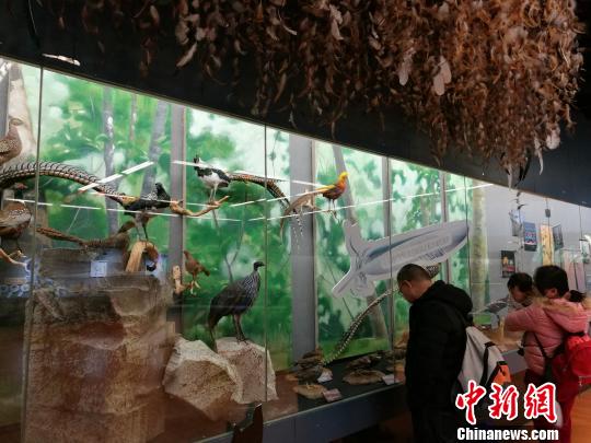 圖為展覽現(xiàn)場(chǎng)?！『h(yuǎn)航 攝