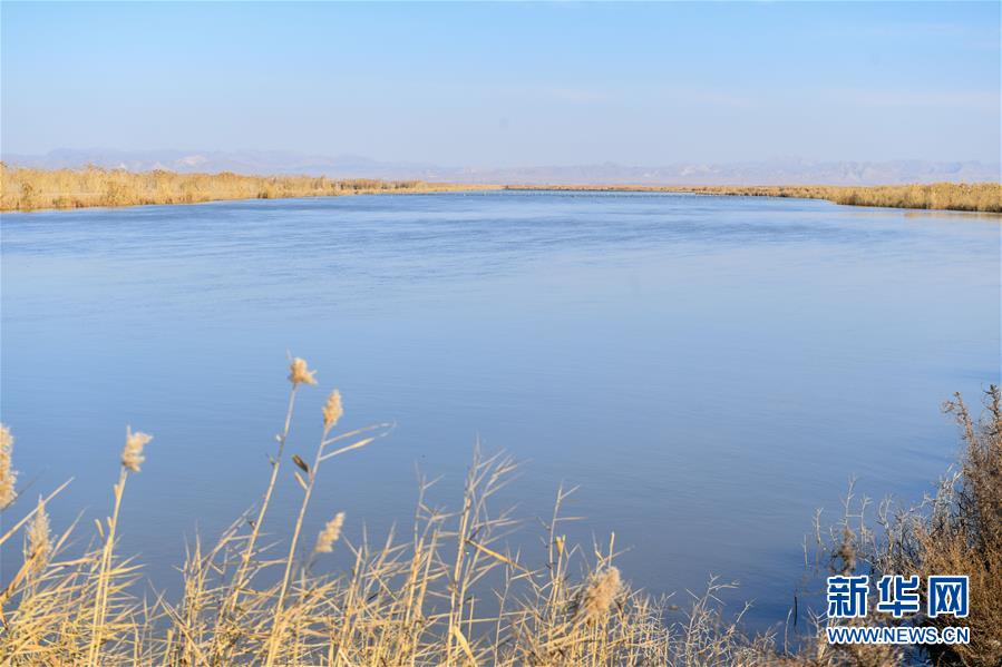 （在習(xí)近平新時(shí)代中國(guó)特色社會(huì)主義思想指引下&mdash;&mdash;新時(shí)代新作為新篇章&middot;圖文互動(dòng)）（1）打響綠色品牌 &ldquo;四控&rdquo;治污增效&mdash;&mdash;內(nèi)蒙古巴彥淖爾探索農(nóng)業(yè)高質(zhì)量發(fā)展