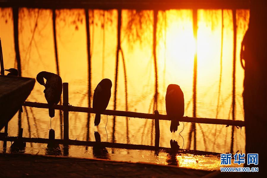 （新華全媒頭條&middot;圖文互動(dòng)）（8）&ldquo;雄安大計(jì)&rdquo;躍然紙上 &ldquo;未來(lái)之城&rdquo;呼之欲出&mdash;&mdash;《河北雄安新區(qū)總體規(guī)劃》解讀