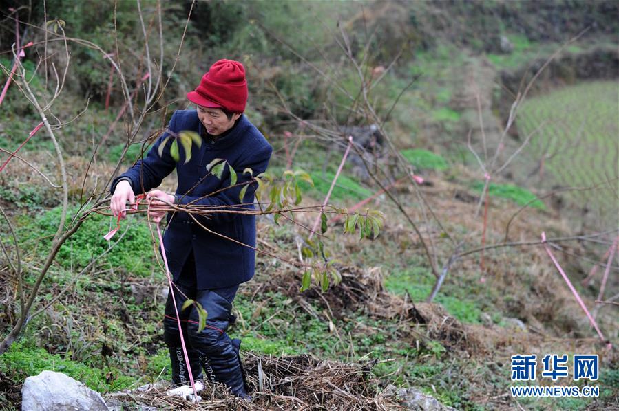 （圖文互動）（3）平靜而充滿力量&mdash;&mdash;&ldquo;中國網(wǎng)事&middot;感動2018&rdquo;年度網(wǎng)絡(luò)人物群像