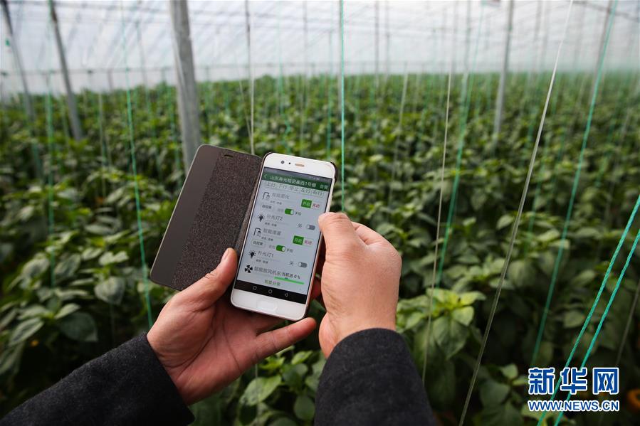 （新華全媒頭條&middot;圖文互動(dòng)）（8）聚焦高質(zhì)量，躍上新臺(tái)階&mdash;&mdash;新年開局看中國(guó)經(jīng)濟(jì)信心和潛力