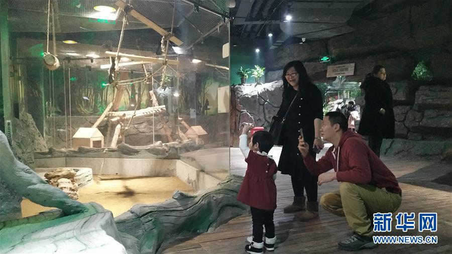 （新春走基層&middot;圖文互動）（1）新疆&ldquo;新年俗&rdquo;：動物王國學(xué)知識 冰雪世界強(qiáng)身體