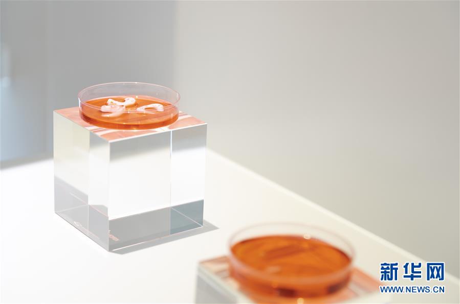 （兩會前夕看落實&middot;圖文互動）（4）&ldquo;三個第一&rdquo;催奮進(jìn) 珠江潮起再出發(fā)&mdash;&mdash;廣東落實習(xí)近平總書記全國兩會重要講話精神紀(jì)實